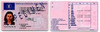 carnet conducir nuevo