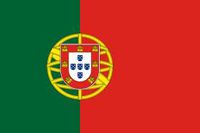 carnet conducir portugues
