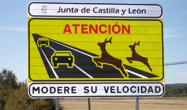 accidentes con animales accidentes con animales